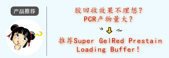 5dfc3ce546d2d.png image.png