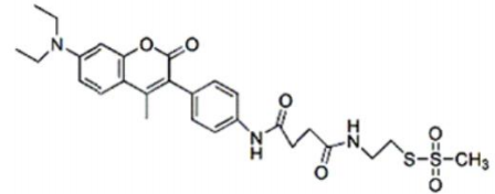 5f30b82f5b0b1.png image.png