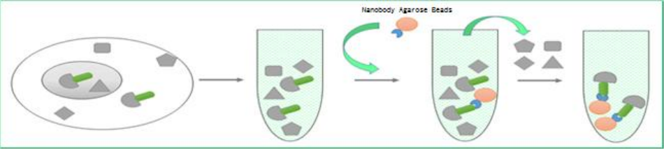 603601765ae24.png image.png