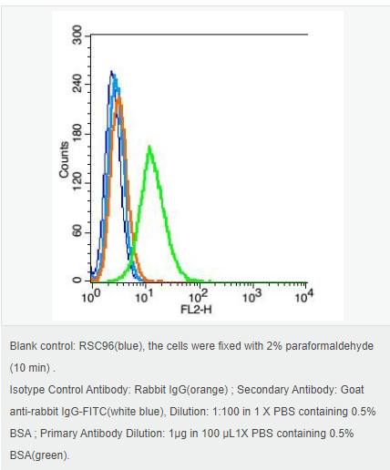 6052b2e22f630.png image.png