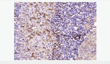 6052c0fa684fa.png image.png