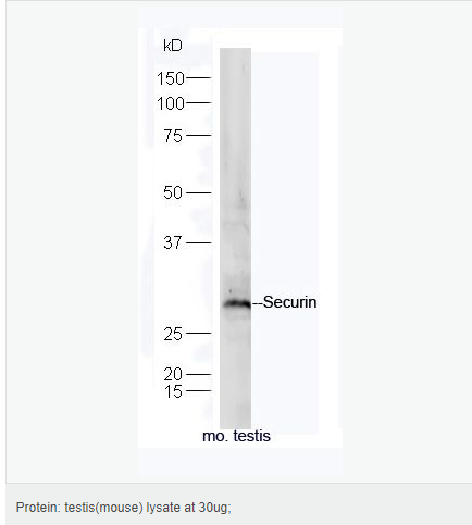 60540f0aa3f08.png image.png