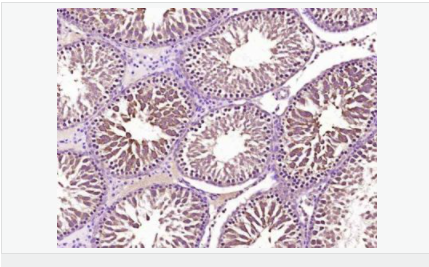 60540f217cd3f.png image.png