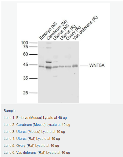 60544fa72906b.png image.png