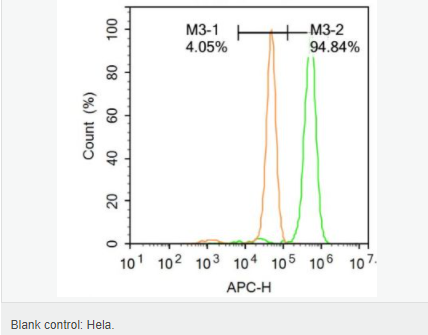 6059463a6da8f.png image.png