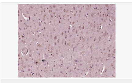 60594c1f3b1e9.png image.png