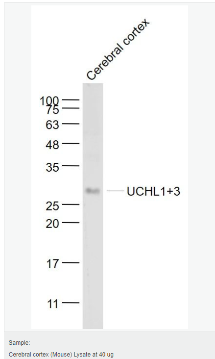 605961431ffc6.png image.png