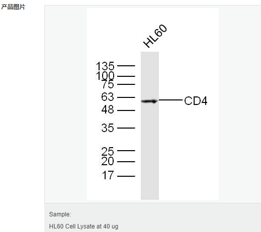 605c3eaf6f678.png image.png