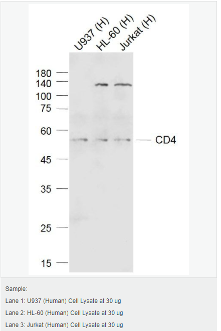 605c3ec0570ea.png image.png