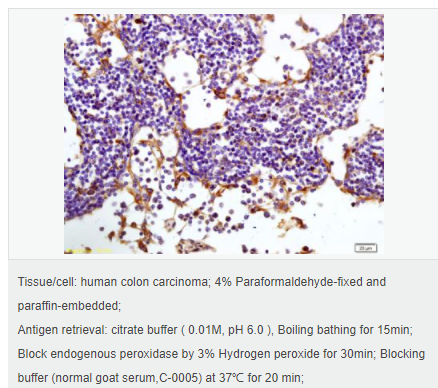 60616b875fbf5.png image.png