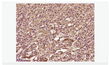 606679718d0db.png image.png