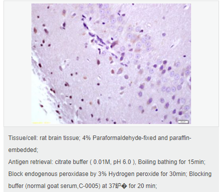 6066c5a13ebd7.png image.png