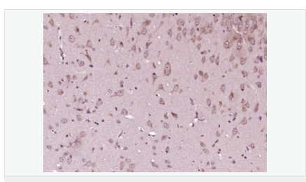 6066cdb82d2b5.png image.png