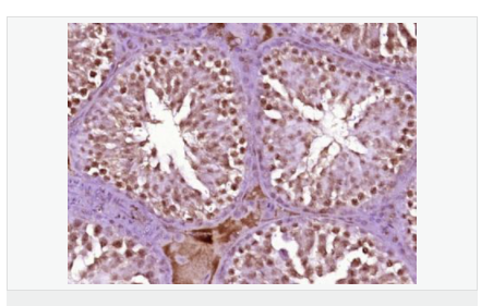 606bc9c48cd50.png image.png