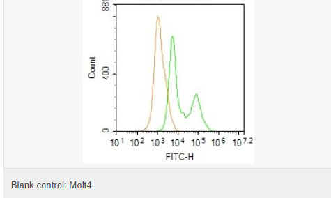 607663102ad99.png image.png