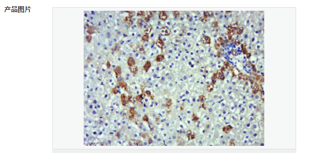 607795fc3bbe2.png image.png