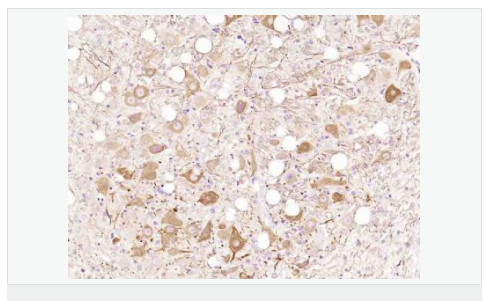 60779e64a6cfd.png image.png