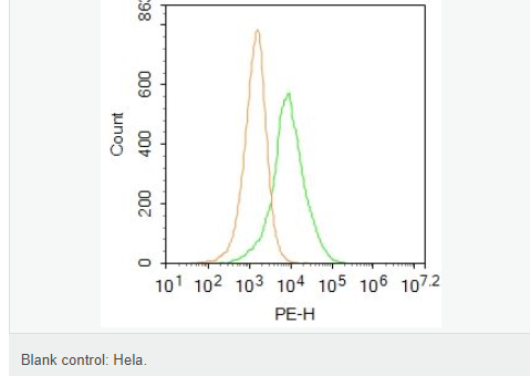 6077ad66aa02e.png image.png