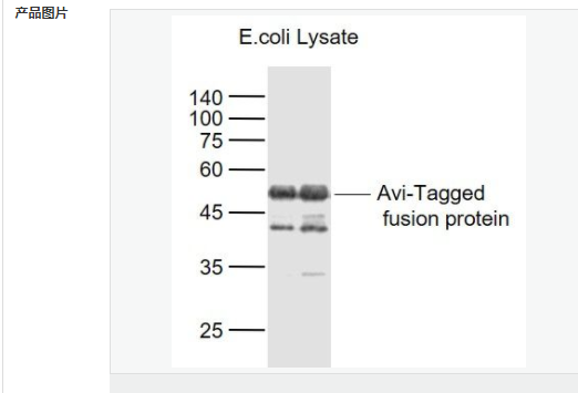 6079529720dbc.png image.png