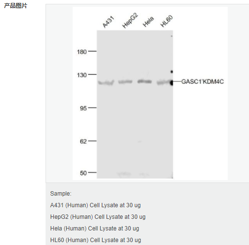 60795468a5d66.png image.png