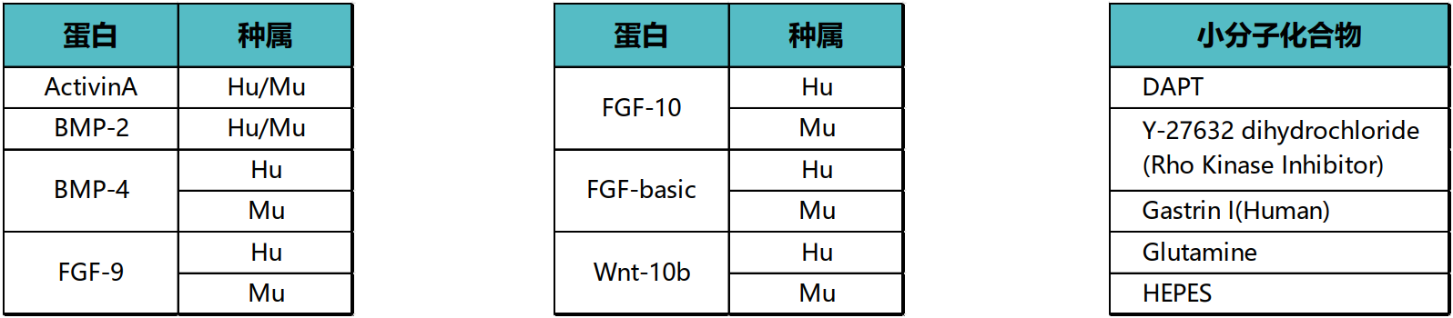 6459f5efc029c.png 6459f5efc029c.png