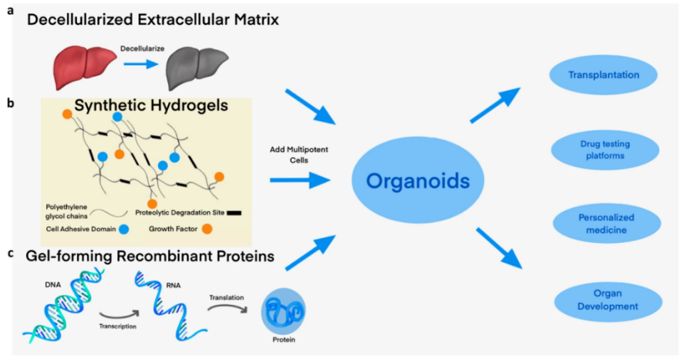 647449bd9db2f.png image.png