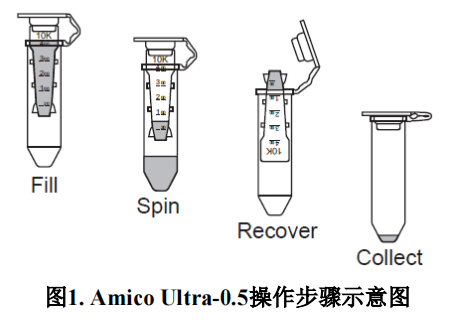 64ae623580eaf.jpg 1689149994640.jpg