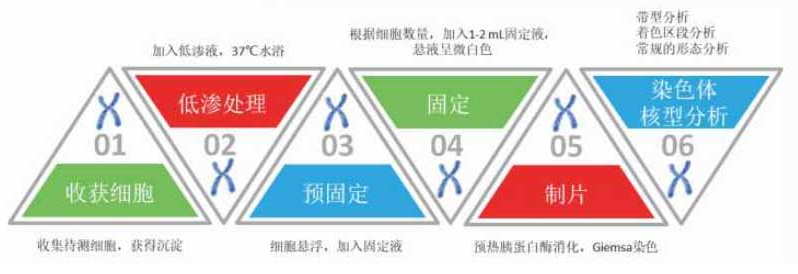 68ea10c674931.png image.png