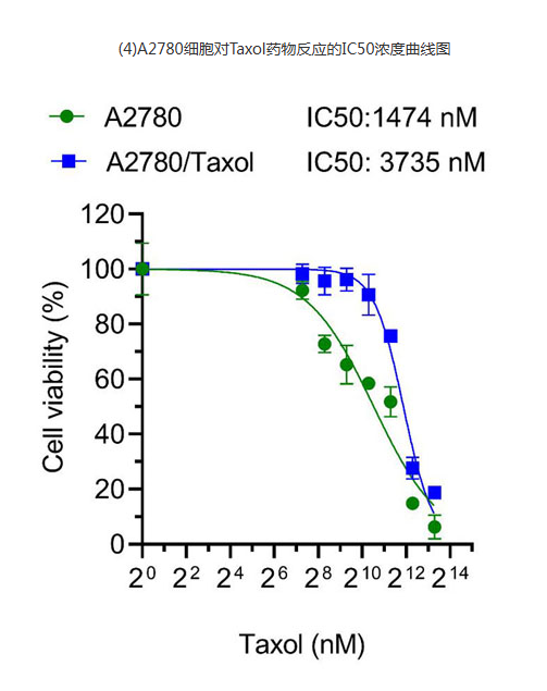 68ea11726e7c5.png image.png